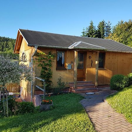 Vila Haus Talsperreneck Stutzengrun Exteriér fotografie